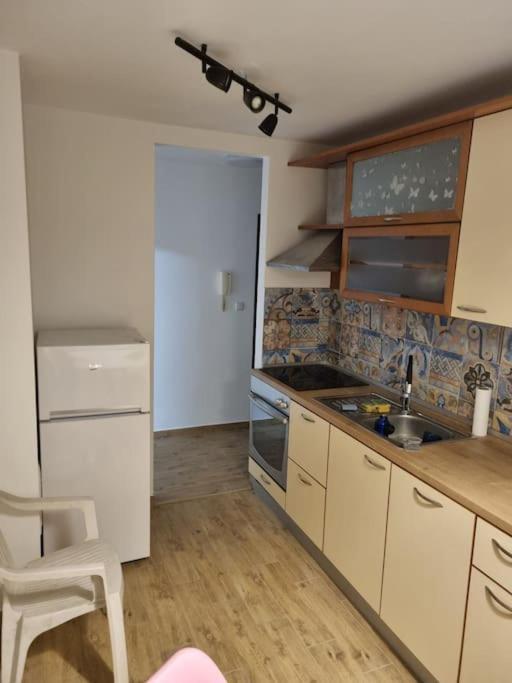 Studio Apartman Bojana 34M2,Free Wifi,Parking Sisak Buitenkant foto