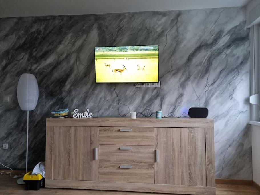 Studio Apartman Bojana 34M2,Free Wifi,Parking Sisak Buitenkant foto
